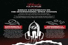 Budweiser studies barley in space