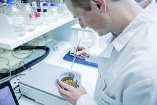 New JV to focus on industrial insect production