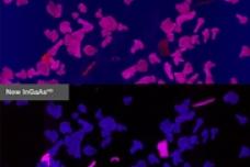 HD cameras enhance SORTEX E digital sorters