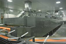 Sweet potato drying and nutrition insights for high volume production