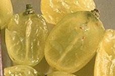 Natural shelf-life extension food additives edge out synthetic antioxidants