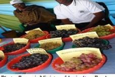 Tanzania: Productivity underlined in agri-trade