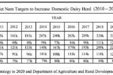 Colossal Growth in the Vietnamese Dairy Industry