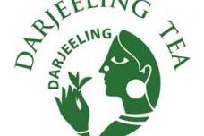 Darjeeling tea finds market in China