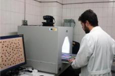 Digital imaging can indicate grape ripeness