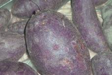 ‘New naturals’ for food colouring