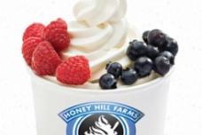 Frozen yoghurt has  five probiotic strains
