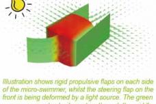 'Micro-swimmers' could deliver drugs