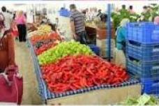 Turkish output for fresh produce is up this year