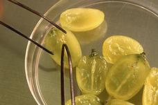 Grape seeds as ingredient can raise antioxidant levels of cookies