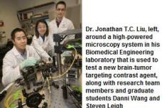 Contrast agent for brain tumors could enhance neurosurgery