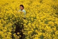 Cargill opens canola processing facility in Alberta