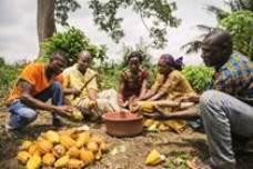 Cargill Cocoa Promise: Achievements with evidence