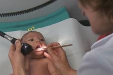 Whooping cough vaccine being developed for infants