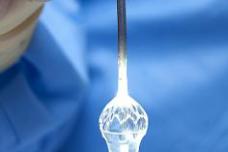 ENDOSCOPIC ABLATION SYSTEM