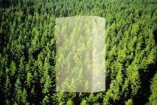 Tetra Pak makes headway in achieving environmental goals