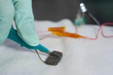 Stanford's touch-sensitive plastic skin heals itself