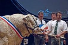 Livestock Summit set for October