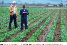 Is treated wastewater safe for agriculture?