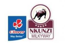 Clover SA, Nkunzi Milkway announce merger
