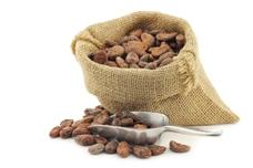 CIRAD cocoa research underway in Ghana