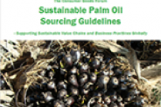 CGF publishes Palm Oil Sourcing Guidelines