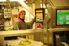 Automated solution keeps watchful eye on salad crispness