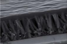 Scientist use zinc oxide nanorods to grow white LEDs on paper substrate