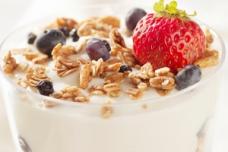 DuPont unveils five-species Greek yoghurt