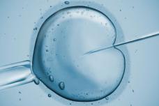 Counting the cost of infertility treatment