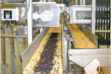 Feeding and conveying solutions for snacks