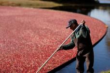 Ocean Spray at Fi Europe 2013