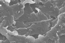 IBM discovers new type of industrial polymers
