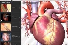 Anatomy app for iPad