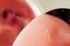 New research questions how fat influences flavour perception