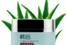 Natural /Organic Market in China