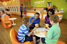 Orange Leaf announces plans to tap China yogurt market