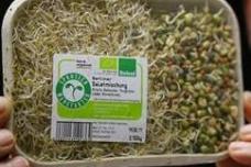 A cup of legumes a day good for heart, improves glycemic control