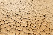 EU, FAO launch “greening” programme