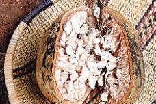 Bioavailability of baobab nutrients exceeds all other superfoods