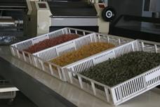 Interview: La Pasta Delizia sticks to tradition