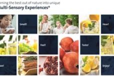 Doehler showcases ingredients at BrauBeviale 2016
