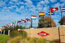 Dow completes construction of world-scale ethylene unit