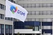 DSM sells stake in polymer intermediates and composite resins business to CVC