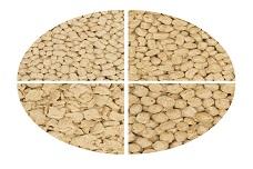 Clean label protein nuggets