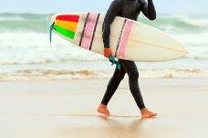 Food and Fitness Continuum boosts sports nutrition & weight management products, new research