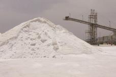 Salt of the Earth releases sustainability report