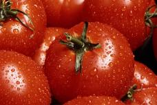 Tomato-rich diet may lower breast cancer risk