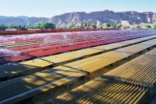 Grovepoint invests in astaxanthin producer in Israel