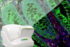 Imaging system visualizes disease faster